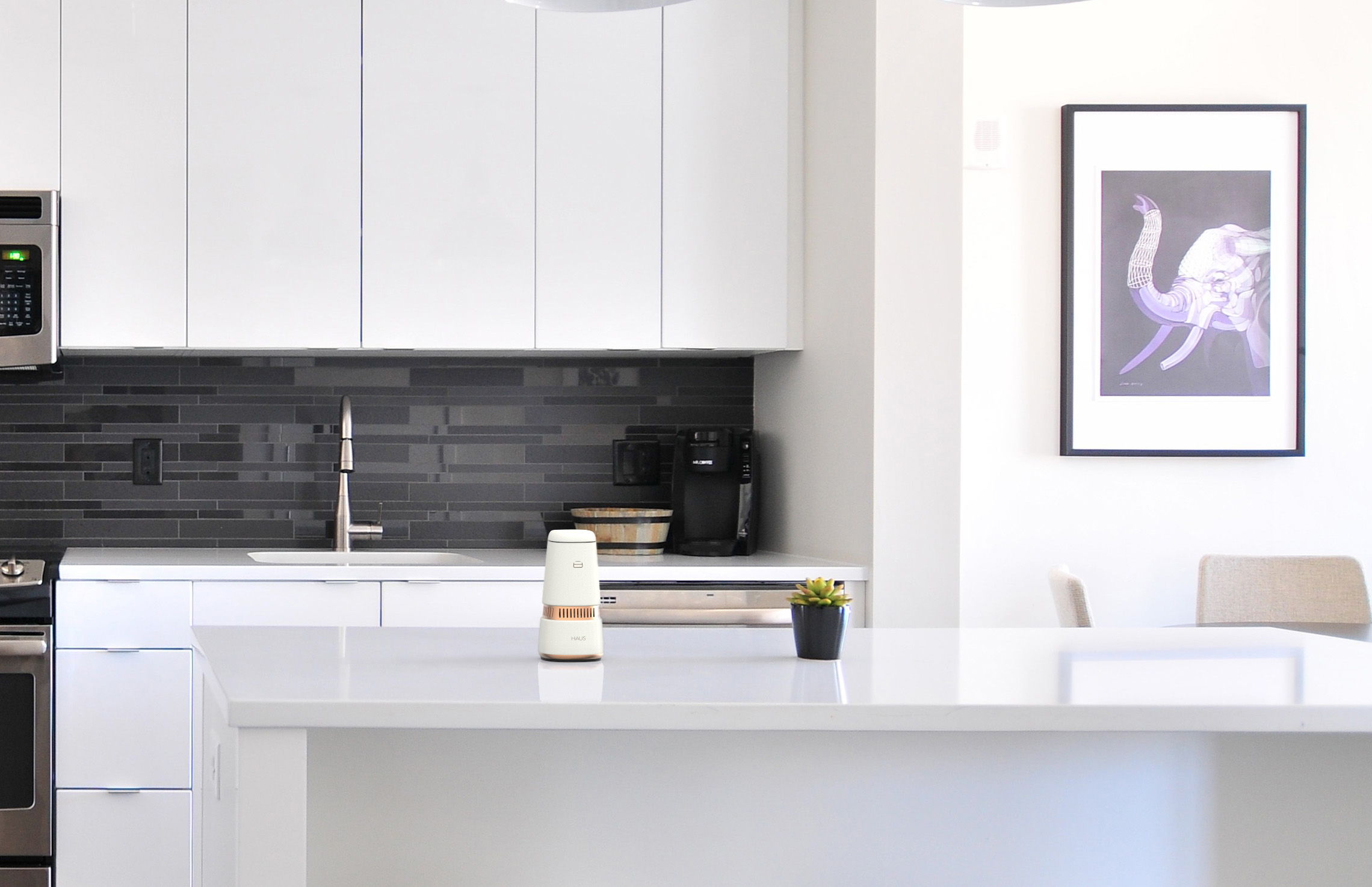 The HAUS Smart Speaker on a kitchen counter